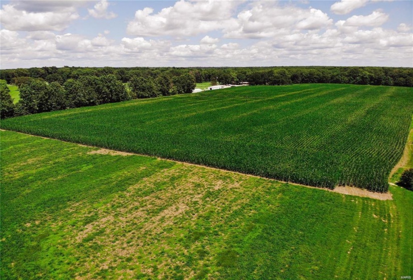 2092 2110th Lane, St Elmo, Illinois 62458, ,Land,For Sale,2110th,MAR24055868