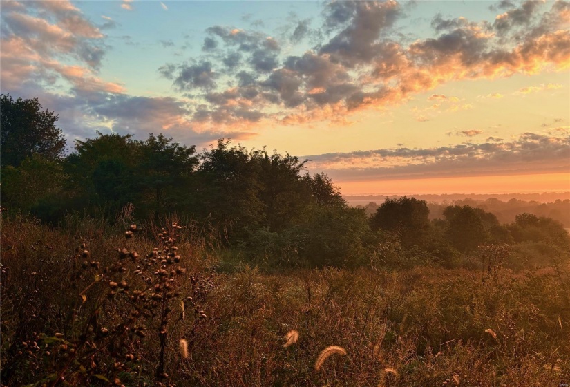 View of nature at dusk