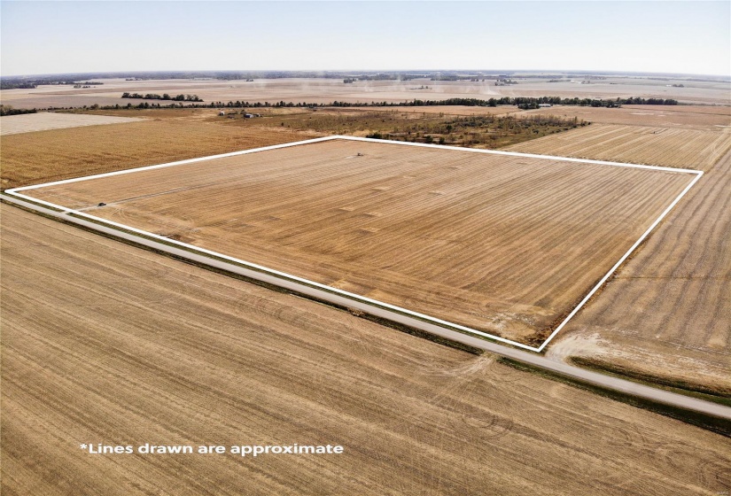 Birds eye view of 40 acres.